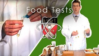 Food Tests  GCSE Science Required Practical [upl. by Eidlog719]