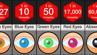 Probability Comparison Eye Color [upl. by Chrisoula717]