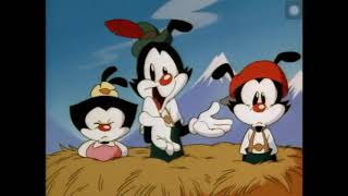 Schnitzelbank Animaniacs CC [upl. by Orton]