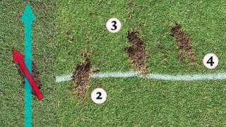 Cheat Sheet Analyze Your Divots to Fix Your Swing [upl. by Neahs]