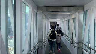 Haneda Airport International Terminal Arrival Tokyo Japan [upl. by Eiresed]