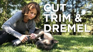 How To Correctly Cut Trim amp Dremel Your Dogs Nails [upl. by Kenaz]