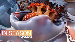 How Jellyfish is Eaten in China  In Season S1E5 [upl. by Shotton251]