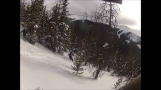 Perfect Trees Berthoud Pass Colorado [upl. by Vinaya]