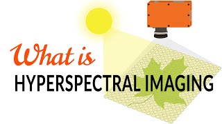 What is hyperspectral imaging  Tutorial [upl. by Charley]