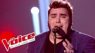 Mylène Farmer – Désenchantée  Yoann Launay  The Voice France 2015  Prime 1 [upl. by Viola767]