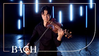 Bach  Violin Sonata no 2 in A minor BWV 1003  Sato  Netherlands Bach Society [upl. by Jenei652]