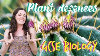 Plant defences  GCSE Biology Revision for 2020 [upl. by Ranna]