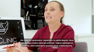 Endodoncja 🦷 dlaczego 🤔możesz czuć ból po leczeniu kanałowym 👩‍⚕️ [upl. by Ching]