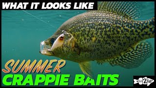 Fishing for Summer Crappies  What it Looks Like Underwater [upl. by Skelly]