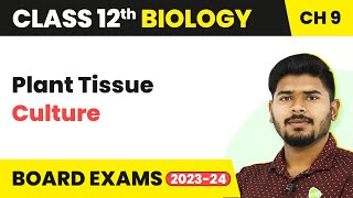 Plant Tissue Culture  Strategies for Enhancement in Food Production  Class 12 Biology 202223 [upl. by Corron]