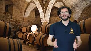 Virtual Tour of Beaune The Wine Capital of Burgundy Part 2 [upl. by Johst]