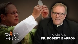 Bishop Barron on the Real Presence of Christ in the Eucharist [upl. by Hanser798]