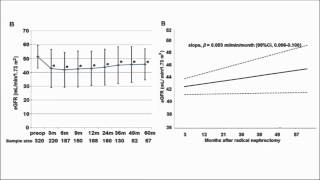 Robotassisted Partial Nephrectomy RAPN [upl. by Euqinamod644]