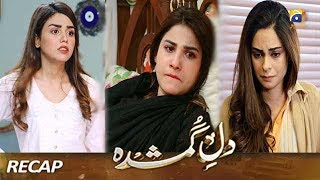 DileGumshuda  EP 28 Recap  HAR PAL GEO DRAMAS [upl. by Radferd253]