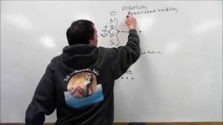 Rule 35 Sound Signals in Restricted Visibility  Sound and Light Signals [upl. by Otrebilif]