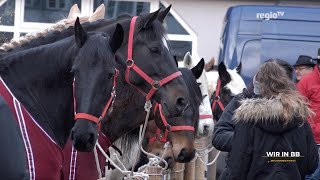 Darfs ein Pferd mehr sein Wir in BB [upl. by Nicole]