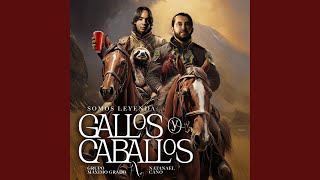 Gallos Y Caballos [upl. by Trina]