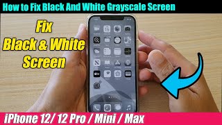 iPhone 1212 Pro How to Fix Black And White Grayscale Screen [upl. by Lotz680]