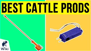 8 Best Cattle Prods 2020 [upl. by Skillern]