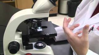 Introduction to the Light Microscope [upl. by Seka]