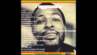 Marvin Gaye  Sexual Healing reggae version by Reggaesta [upl. by Brewer]