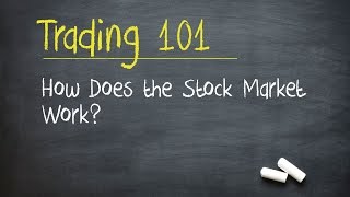 Trading 101 How Does the Stock Market Work [upl. by Agle]