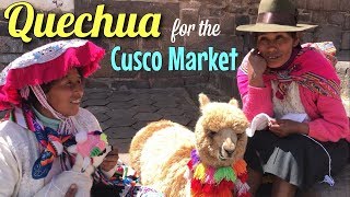 Quechua Lesson  The Cusco Market of Peru [upl. by Annovy]