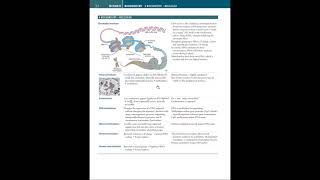 Amyloidosis diagnosis and stem cell transplantation [upl. by Linsk]