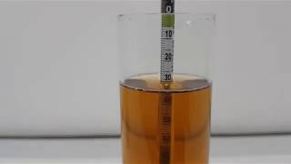 How to use a Hydrometer [upl. by Adgam]