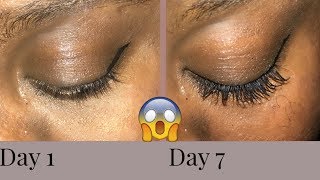 7 DAY OF CASTOR OIL GREW MY EYELASHES CRAZY RESULTS [upl. by Adnuahs]