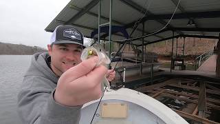 Finding Crappie using Side Imaging [upl. by Mirak818]