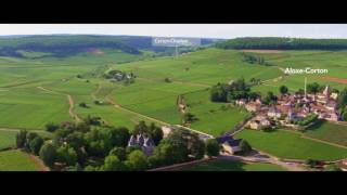 The vineyard of Bourgogne seen from the sky [upl. by Aiuqet]