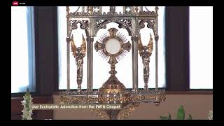 LIVE Eucharistic Adoration on EWTN [upl. by Aihsakal]