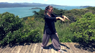 Tai Chi 5 Minutes a Day Module 01  Easy for Beginners  the Wave and Embracing the Moon [upl. by Ma972]