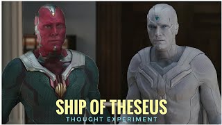 The Ship of Theseus  Thought Experiment  Who is the True Vision  WandaVision  White Vision [upl. by Nahtaneoj407]