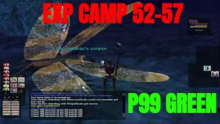 Experience guide level 5257  P99 Everquest Project 1999 green  Good exp and loot camp Necro Lvl57 [upl. by Tiram]