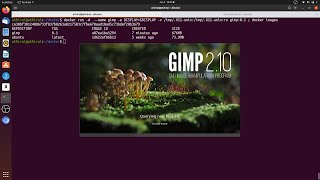 Docker GUI application  Gimp  X11  DISPLAY sharing [upl. by Saba242]