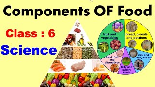 Components Of Food  Full Chapter  Class  6  SCIENCE  CBSE  NCERT  Deficiency diseases [upl. by Eirek722]