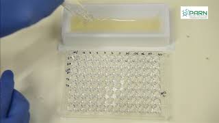 MIC by Microbroth dilution method [upl. by Nwahsit]