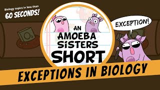 Biology and Its Fascinating Exceptions  Amoeba Sisters Shorts [upl. by Esinert994]