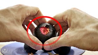 How to Open up Mangosteen Properly [upl. by Bergmans]