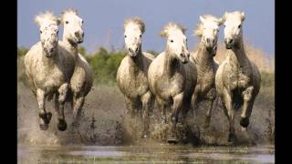 todos los caballos blancos  leon gieco [upl. by Nnylakcaj670]