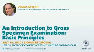 An Introduction to Gross Specimen Examination Basic Principles grosspathCast [upl. by Misti]