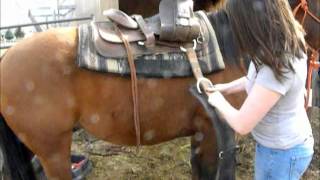 How to western saddle your horse [upl. by Ellicott365]