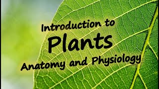 Introduction to Plant Anatomy and Physiology [upl. by Akel]