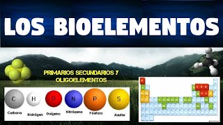 TODO SOBRE LOS BIOELEMENTOS  CLASIFICACIÓN Y FUNCIONES  CARACTERISTICAS [upl. by Argella843]