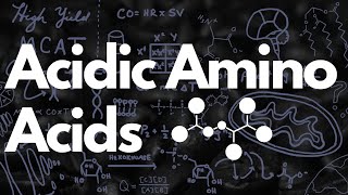 Aspartate Family and Asparagine Metabolism – Biochemistry  Lecturio [upl. by Nylecaj651]