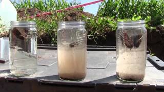 Soil Aggregation and Water Infiltration [upl. by Ellehcir]