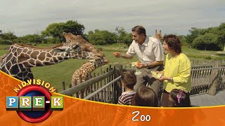 Zoo  Virtual Field Trip  KidVision PreK [upl. by Twum]